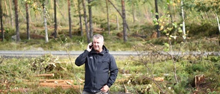 Kamp mot klockan att få ut stormskadad skog