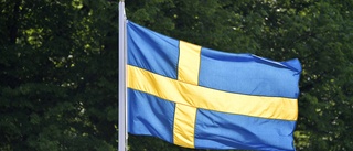 Sluta svartmåla Sverige!      