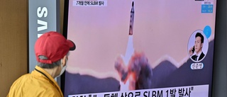 Nordkorea avlossar robot från ubåt