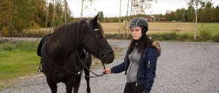 Mötte björn under ridtur i Björsbyn