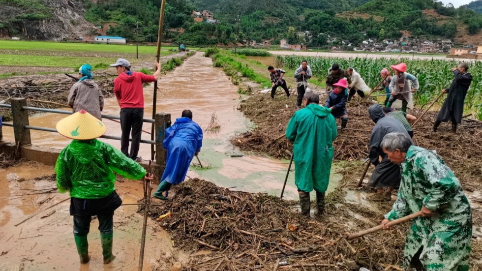 Människor arbetar på ett översvämmat fält i Yunnan-provinsen i sydvästra Kina.