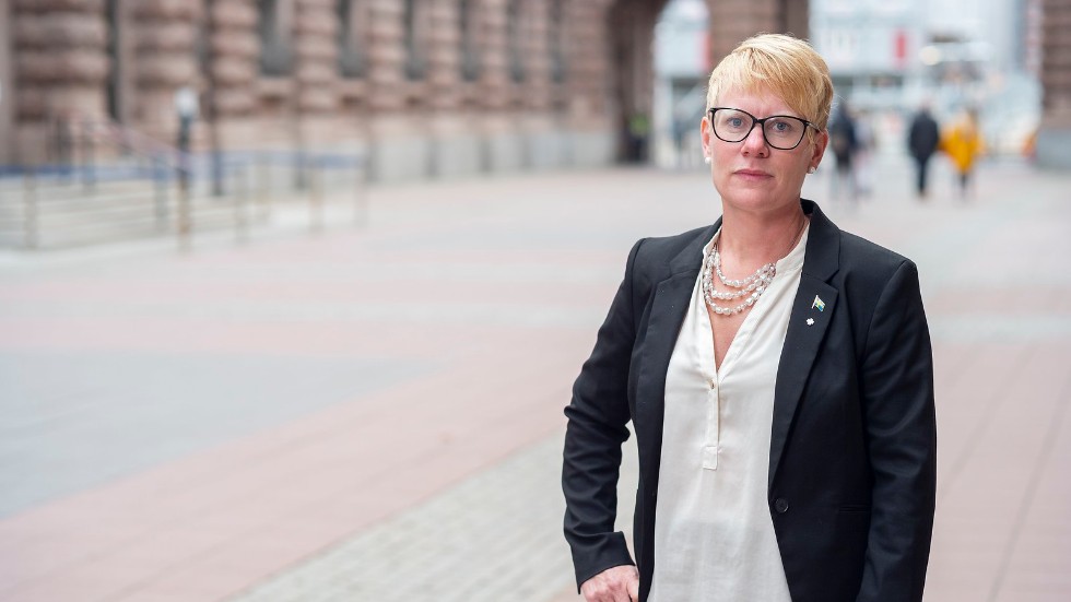 "Redan idag planeras det för havsbaserad vindkraft i länet motsvarande energibehovet för 2,5 miljoner villor", skriver Martina Johansson tillsammans med två av sina partikollegor. Arkivfoto