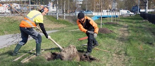 Därför är vägen stängd vid kyrkogården