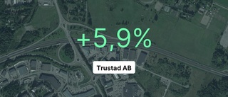 Årsredovisningen klar: Så gick det för Trustad AB