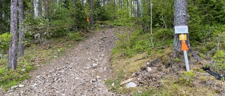 "Vansinnesbacken" och andra snårigheter – här är vår reporters betyg på de lokala MTB-slingorna