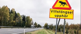 Därför försenas viltstängsel