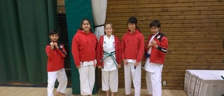 Medaljer i karate till Inyon