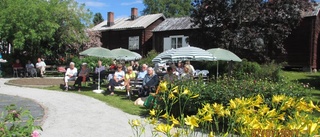 Lunchkonsert i Solanderparken