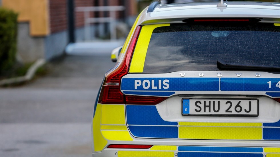 En grannosämja mellan två kvinnor ledde till att en av dem sparkade på den andres hund.