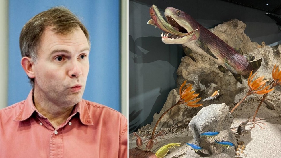Per Ahlberg är professor i utvecklingsbiologi vid Uppsala universitet.
