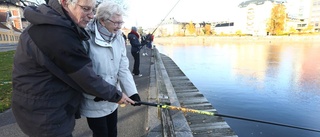 Språk- och fiskelycka i ett