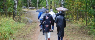 Var är de fina lättillgängliga promenadstråken i Trosa