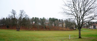 Storstsning i Vibjörnsparken