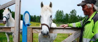 Ponnyridning på riddarhäst