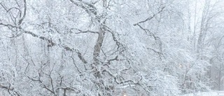 Första snön har fallit – nu väntas mer