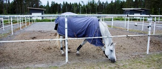 Kräver större rasthagar vid ridklubben