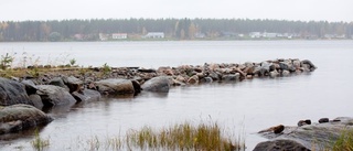 Stugägare frikänns från miljöbrott