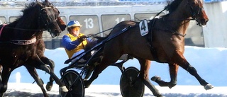 Trippel i dubblar på Bodentravet