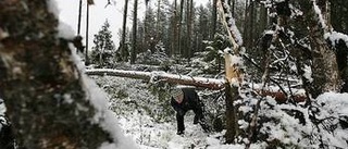 Stormen slog hårt mot Uppland