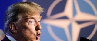 Nato överlever Trump