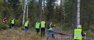 Resultatlöst sökande efter Ludvig