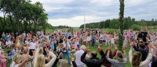 Midsommar på Härled