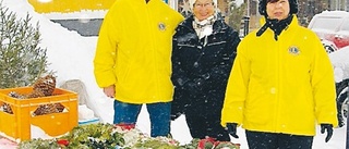 Snöig skyltsöndag i Vimmerby