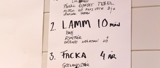 Lamm i fokus på restaurangskolan