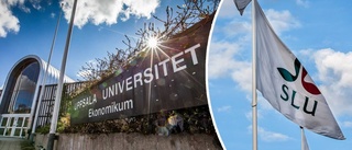 Allt fler studenter till Uppsala