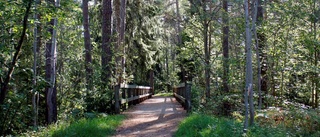 Skog i stad är ovärderlig