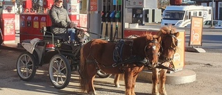 Tog hästarna till macken – för att tanka diesel: "Bättre för klimatet"