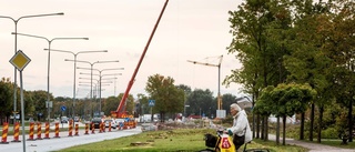 Nu fälls lönnarna i Sala backe