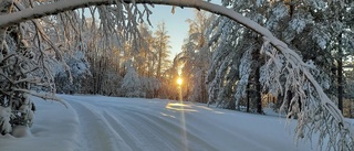 Läsarbilden: Naturens egen portal