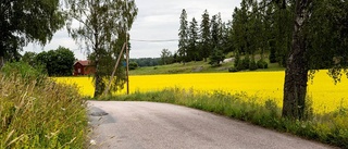 Dags att höja blicken mot landsbygden