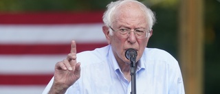 Bernie Sanders antikapitalistiska bok i toppen