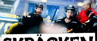 Skräckstatistiken inför CHL-rysaren