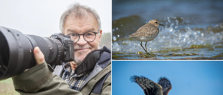 Tidigare rederichefen fann lugnet bland fåglarna • ”Att fotografera fåglar gör att man stänger ute allt annat för en stund”