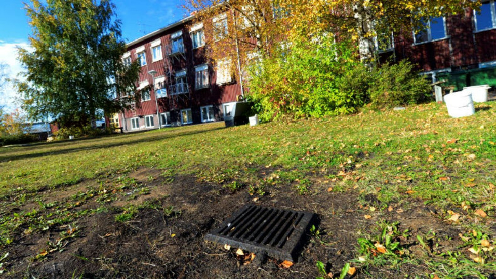 FÖRORENAD MARK. Det är i och runt omkring den här dagvattenbrunnen vid gamla skolan i Svartbyn som en okänd mängd olja har släppts ut. Just nu används skolan av bärplockare. Foto: Maria Engström-Andersson