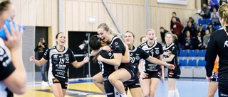 "Det är roligt att alla får chansen att se handboll"