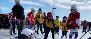 Tidig säsongsfinal för bandyknattar lyfter hallfrågan