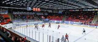 Supporter ber kommunen och företag om hjälp för att rädda Hästen