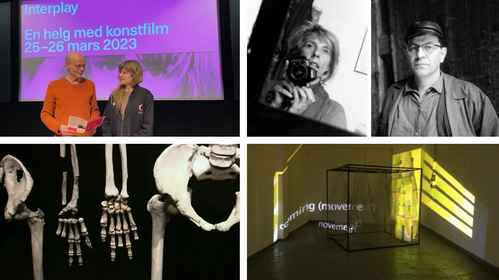 Lars Jonsson och Elin Bennett bjuder in till konstfilmsheglen Interplay på Cnema 25–26 mars. 