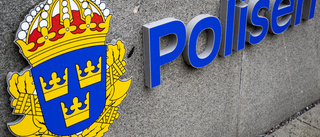 Regeringen måste styra upp Polisen