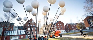 "Gigantomaten" intar Luleå