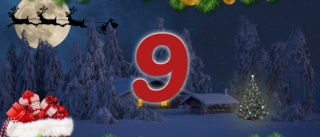 Testa dina kunskaper i vår julkalender - Lucka 9