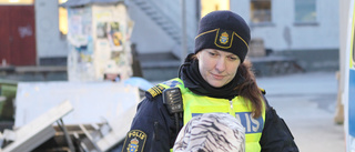 Polisens medborgardialog "Jätteviktig del"