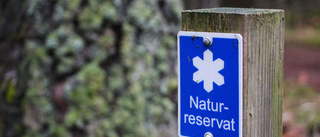 Besökstryck på naturreservat i coronatider