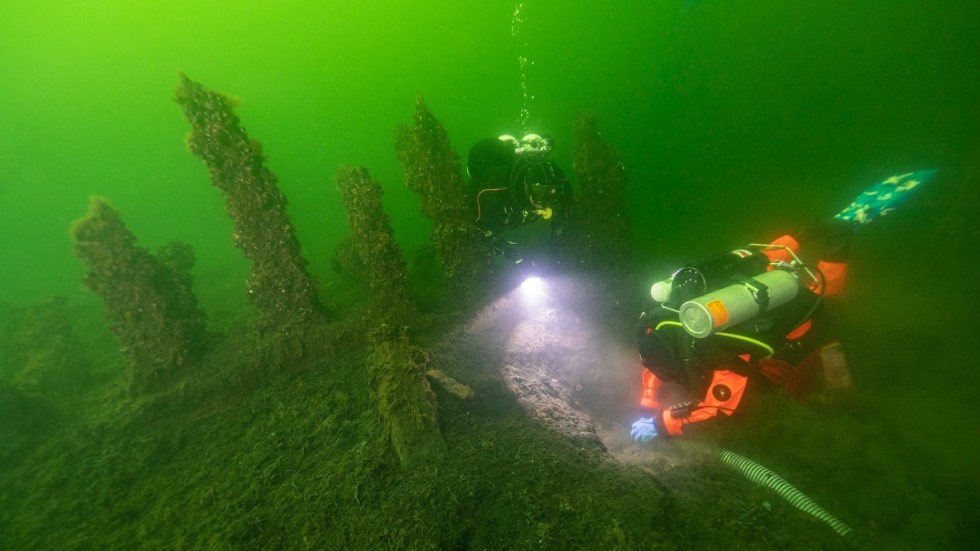 Dykning vid skeppet Gribshunden från 1495 som ligger utanför Blekingekusten.