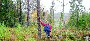 Skadar medvetet trädens bark