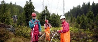 Lettiska specialister arbetar på mycket hög höjd i Tyllinge